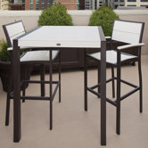 Trex Outdoor Surf City Bar Chair (Set of 2)