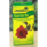 Sticky Trap (Set of 5)