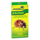 Lady Bug Attractant 3 Lure