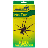Spider Trap (Set of 4)