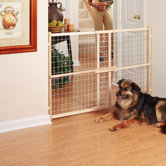 Safety 50" Wire & Mesh Position & Lock Plus Gate