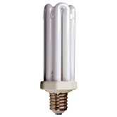 Compact Fluorescent Bulb