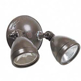 Halogen Quartz Flood Light