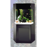 AquaCustom 50 Gallon Shadow Box Aquarium