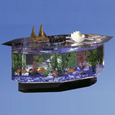 Aqua Coffee Table