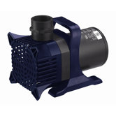 Pool & Spa Pumps