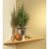Instant Corner Shelf