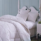 Majestic Cotton Goose Down Comforter in White