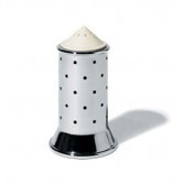 Michael Graves Salt Castor