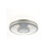 LightDisc40 Indoor/Outdoor Light