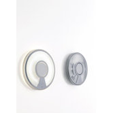 LightDisc32 Indoor/Outdoor Light