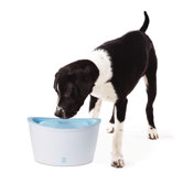 Dogit Design Fresh and Clear Pet Fountain