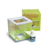 Marina Girl Theme Betta Fish Aquarium Bonus Pack