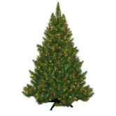 Evergreen Fir Prelit Christmas Tree with 250 Multicolored Lights