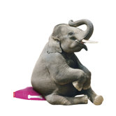 Pet Beds by Fatboy