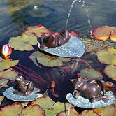 Lazy Frog Fountain