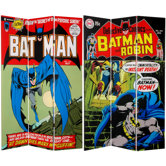 Tall Double Sided Batman Canvas Room Divider