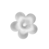 Wallflower