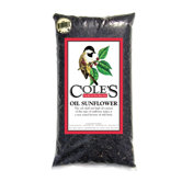 Oil Sunflower Food