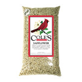 Bird Safflower Food