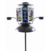 Effort-Less Oasis Bird Feeder