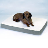 Orthopedic Lounge Pet Bed