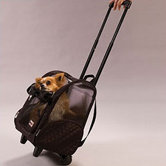 Wheel Around Travel Pet Carrier in Black