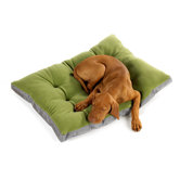 Futon Dog Bed