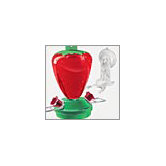Strawberry Window Feeder