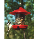 Beck's Chick Feeder in Red