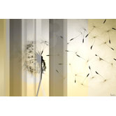Dandelion Wall Art