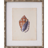 Mini SeaShells IV Art