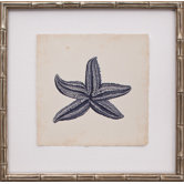 Mini Indigo Starfish IV Art