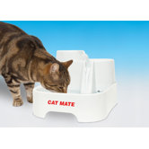 Pet Fountain