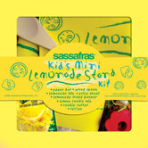 Mini Lemonade Stand Kit
