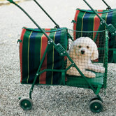 Original Pet Stroller