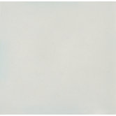 Hand-Painted Ceramic 6" x 6" Glazed Single Bullnose in Nieve