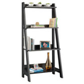 Alamosa Ladder Bookcase in Classic Black