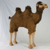 Ride-On Camel Stuffed Animal