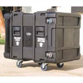 Roto Shock Rack Case (24" Deep)
