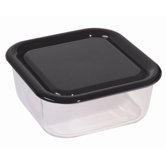 Igloo Glass Food Storage Container