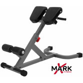 Commercial 45 Degree Ab Back Hyperextension Roman Chair