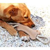 Tug Bone Dog Toy