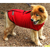 Reversible Sport Dog Jacket