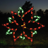 Small Poinsettia Light