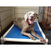Elevated Chew-Proof Crate Dog Bed