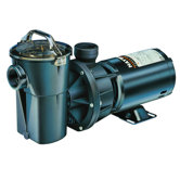 Power-Flo II Pump without Cord