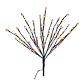 Willow Light