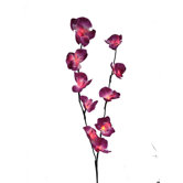 Battery-Operated 10 Light LED Orchid Light