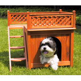 Room with a View Dog House